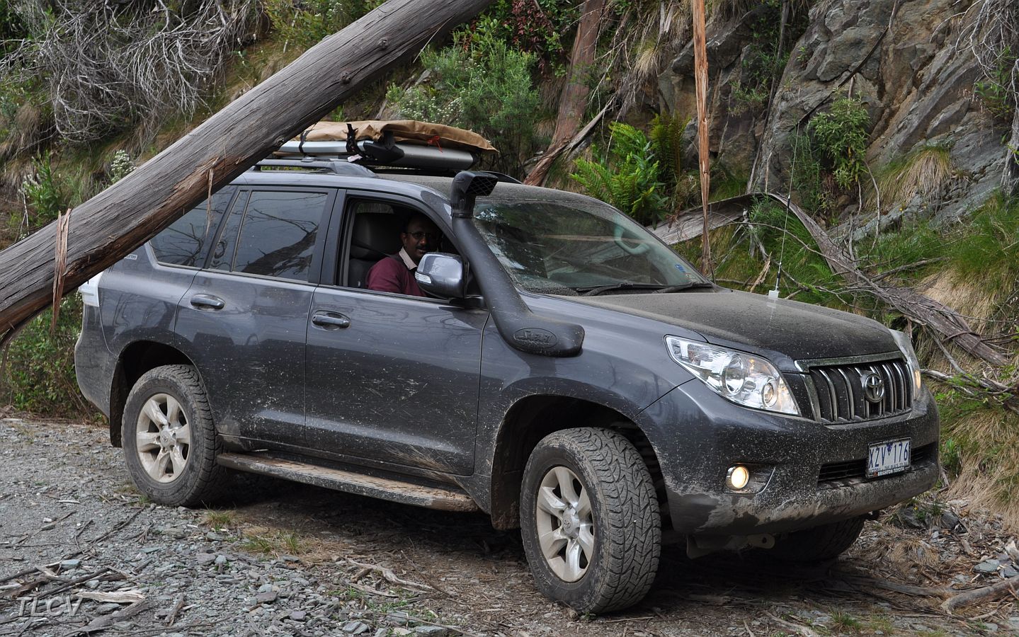 15-Raj negotiates a fallen tree on White Star Track .JPG